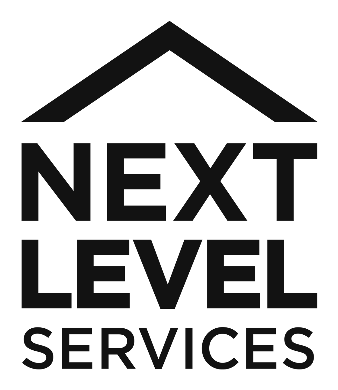 Next Level Services logo